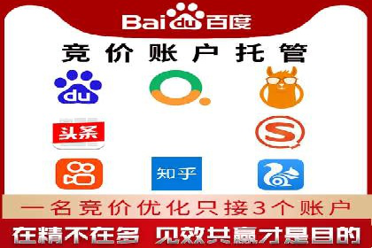搜索引擎优化（SEO）与竞价广告（SEM）的对比案例